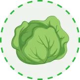 將大自然的豐盛帶到您的指尖 - 28圈xinxinhao