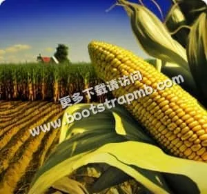 28圈APP，随时随地畅享精彩 - 28圈xinxinhao