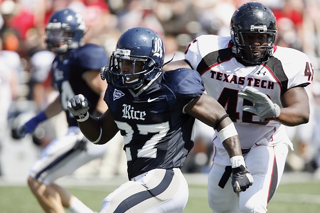 新协调假期 新协调假期