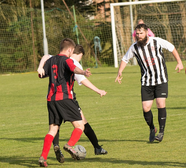 戴维斯的状 戴维斯的状