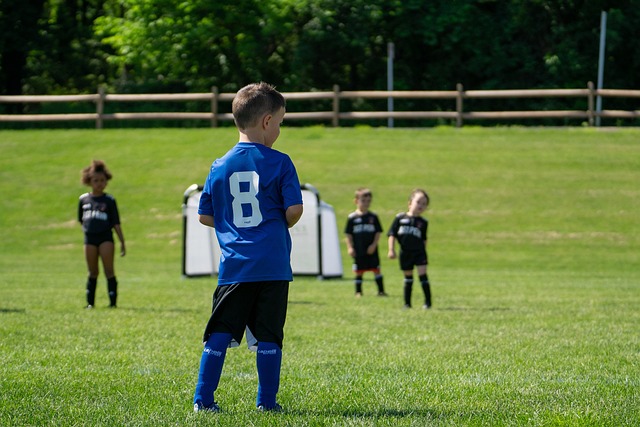 武汉三镇足 武汉三镇足