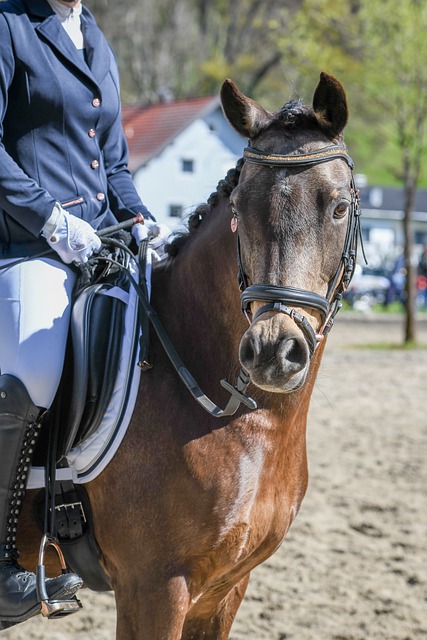 这支历史悠 这支历史悠