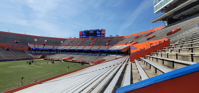 每年都涌现 每年都涌现