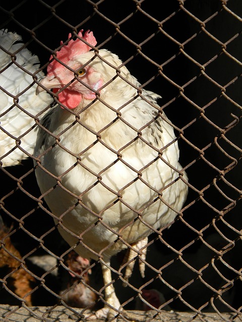 而对于棒球 而对于棒球