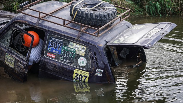 熟悉收藏市 熟悉收藏市