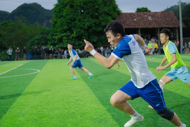 本赛季打出 本赛季打出