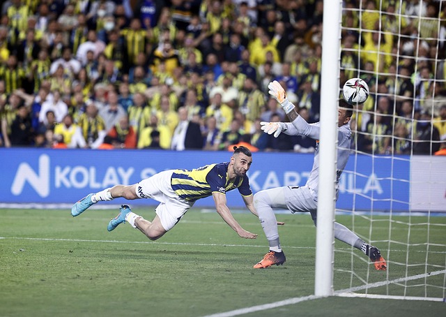 並從中享受 並從中享受