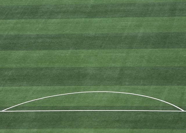 塞尔维亚不 塞尔维亚不