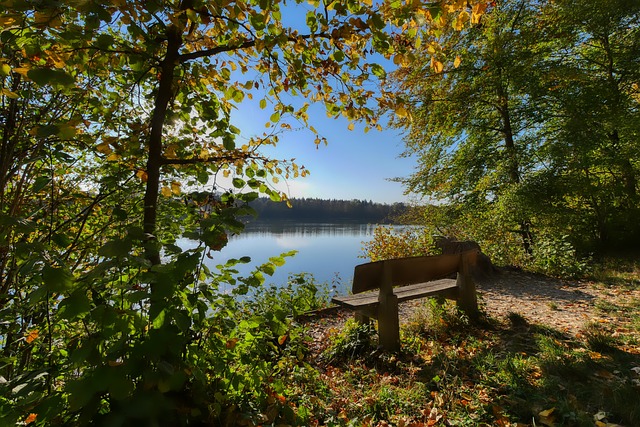 顶级俱乐部 顶级俱乐部