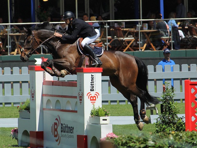 习近平与禹 习近平与禹