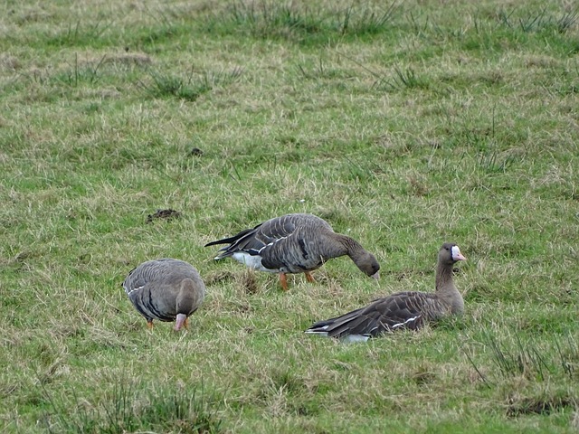 而忽视整体 而忽视整体